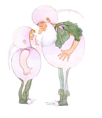 White Turnip Vintage Fairytale Illustration