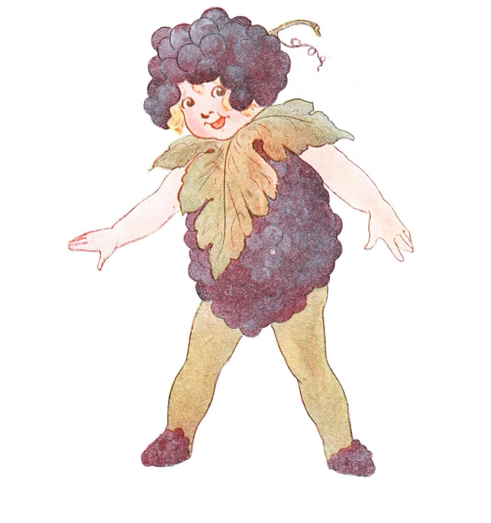 Wild Grape Vintage Fairytale Illustration