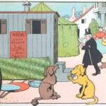 Dogs Chatting Animal Character Illustration