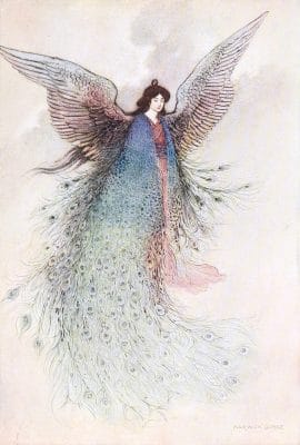 Japanse Fairy With Peacock Feathers